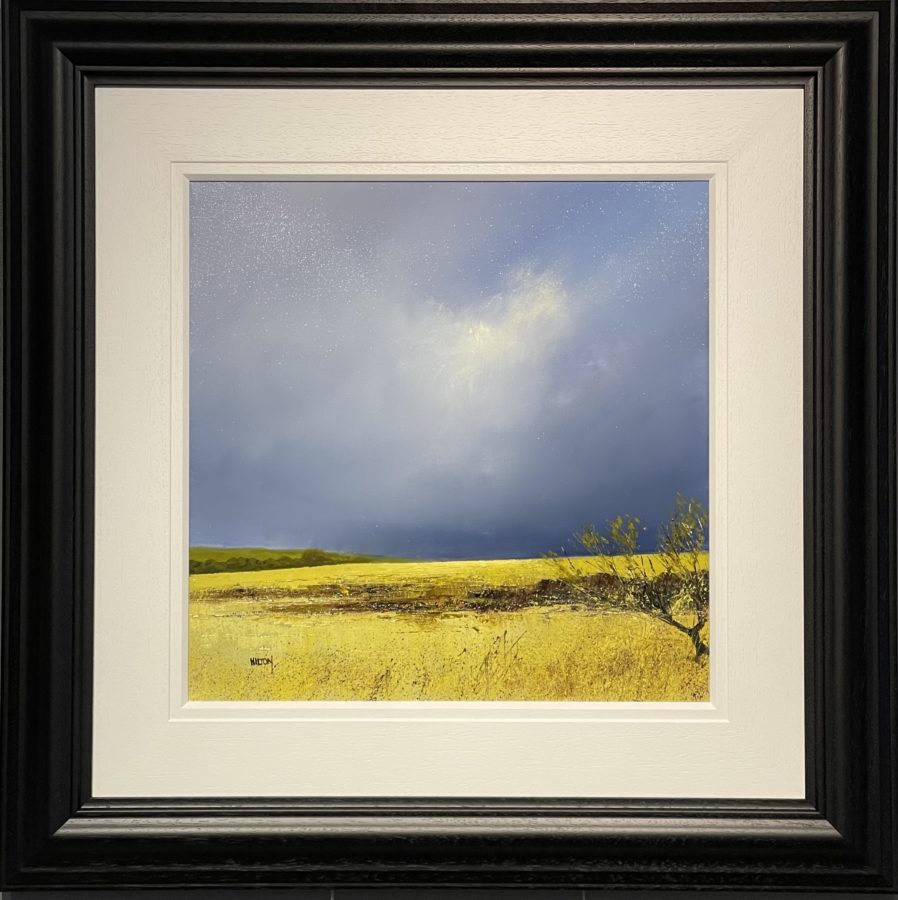 rape seed paintings by artist Barry Hilton