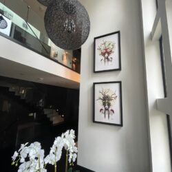 thumbnail_IMG_7955