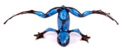 Jester original bronze sculpture by Frogman