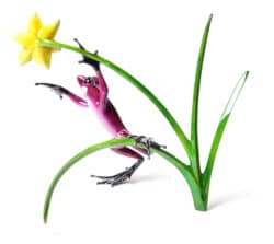 Daffodil original bronze sculpture by Frogman
