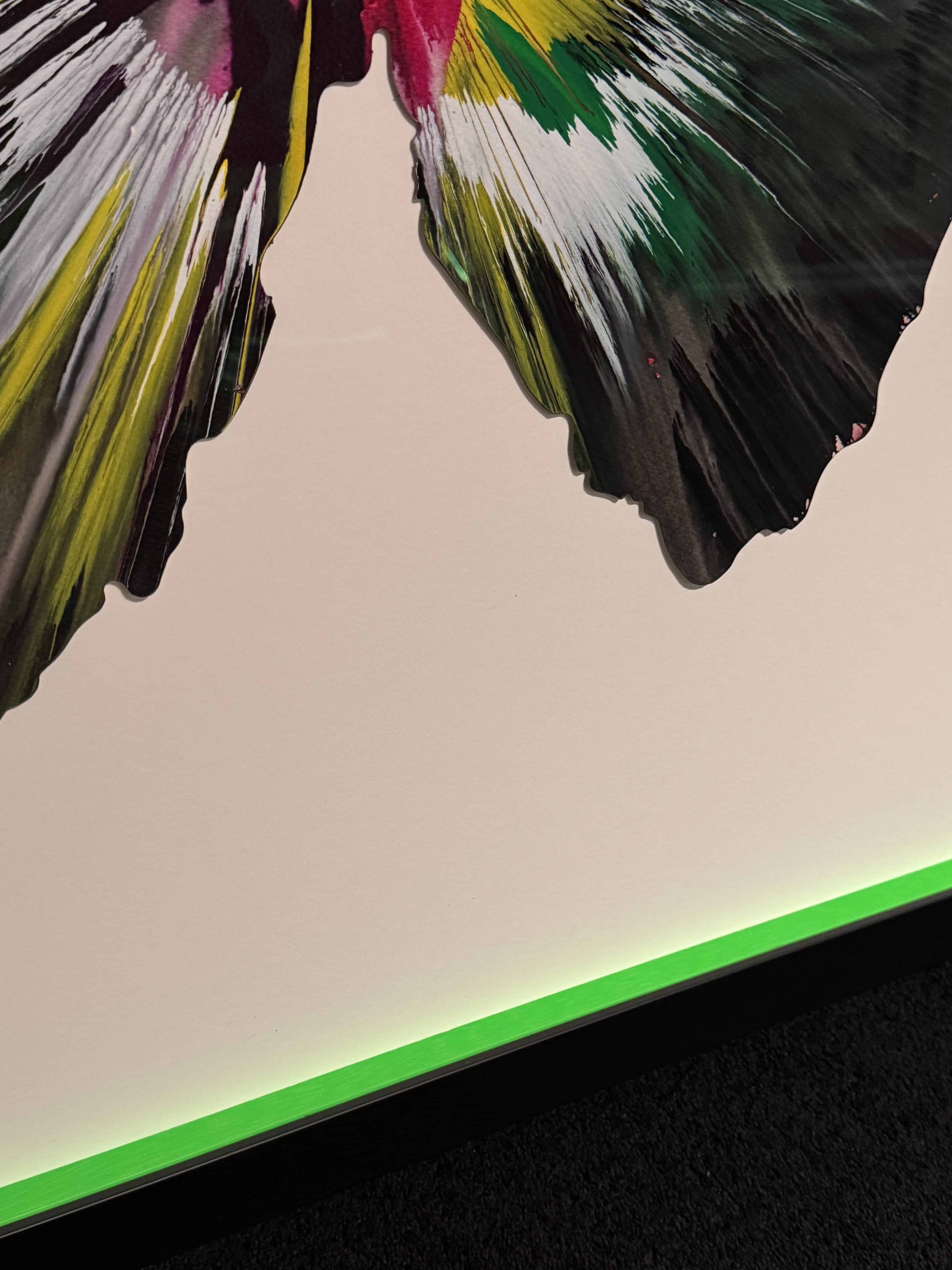 damen hirst spin painting