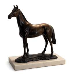 Thoroughbred I by Amanda Hughes Lubeck