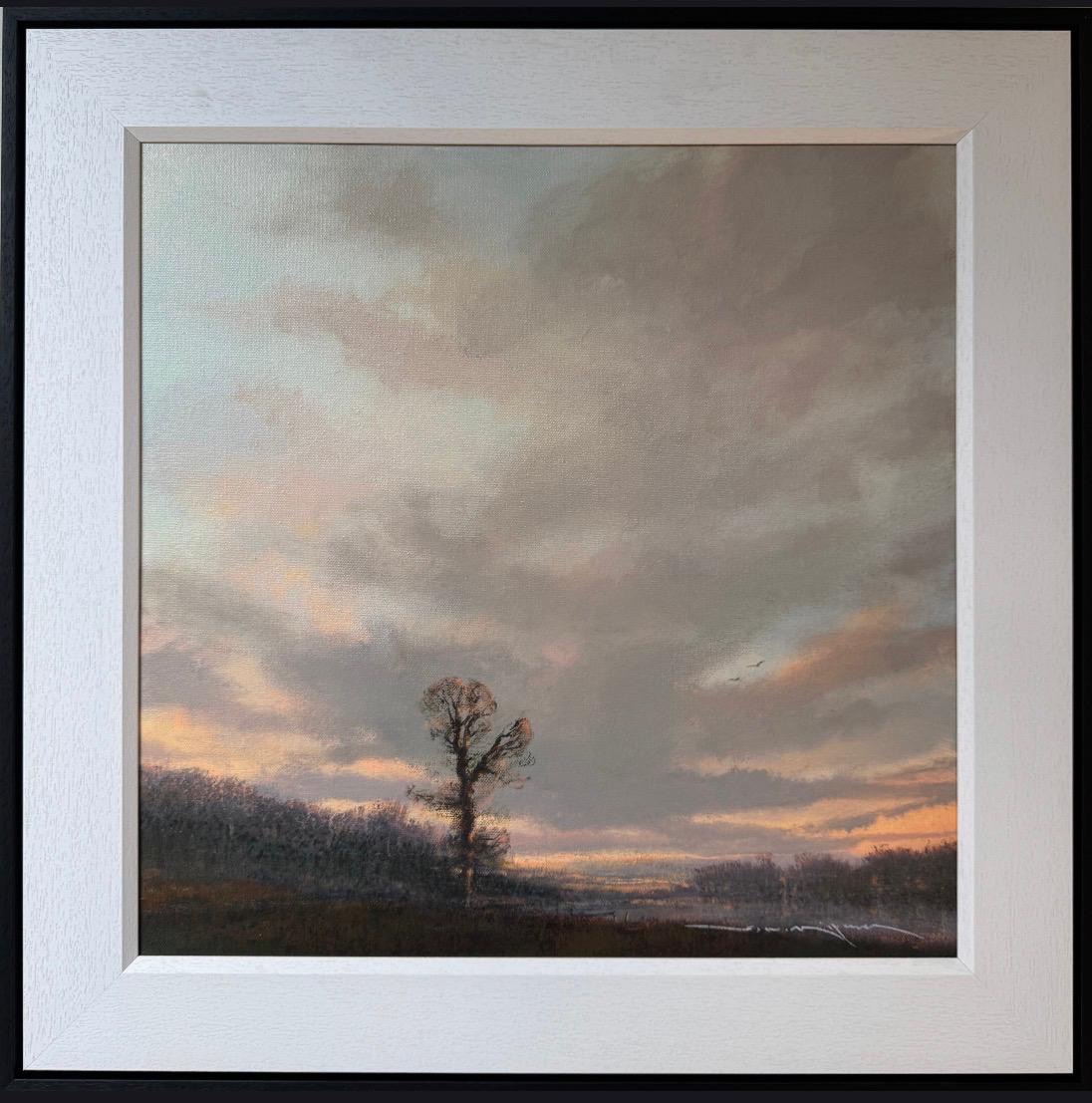 Red Sky at Night Ged Mitchell